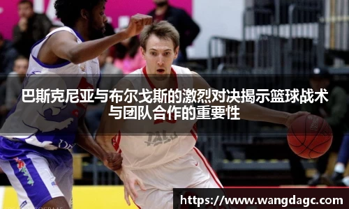 必一运动bsport体育